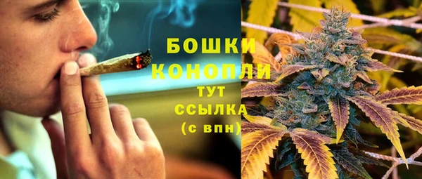 гидра Тында