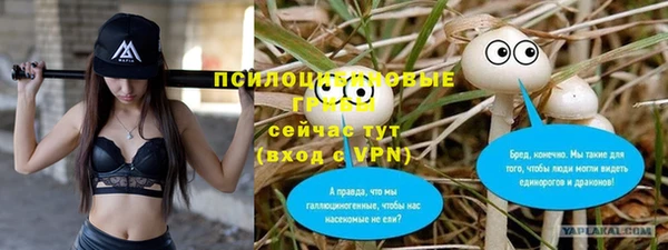 дмт Богородск