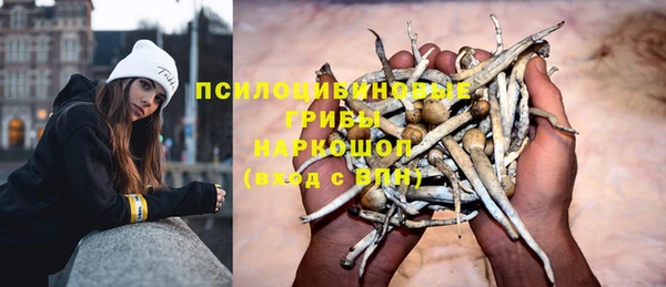 дмт Богородск